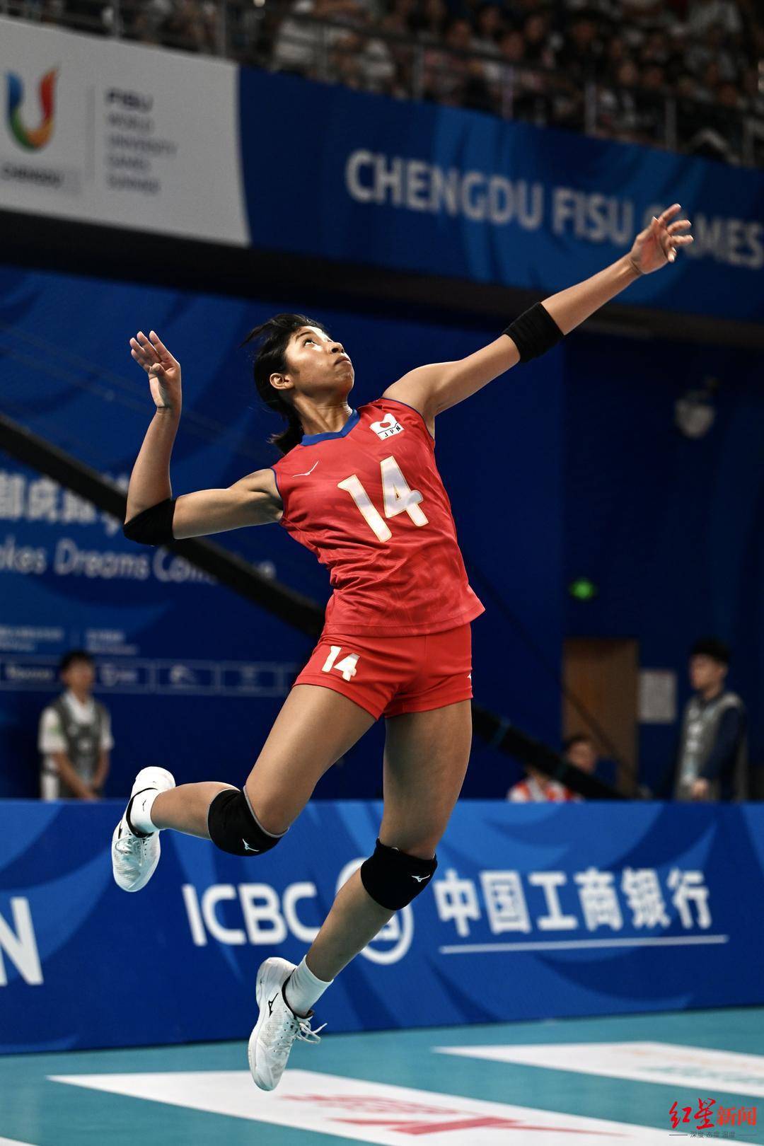 精彩的女子排球比赛，选手展现顶级实力的简单介绍