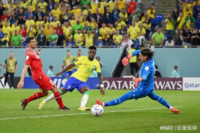 瑞士队掀起波澜，斩获胜利的简单介绍